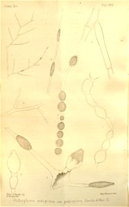 n329_w1150
