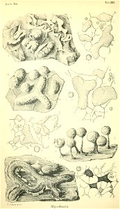 n127_w1150
