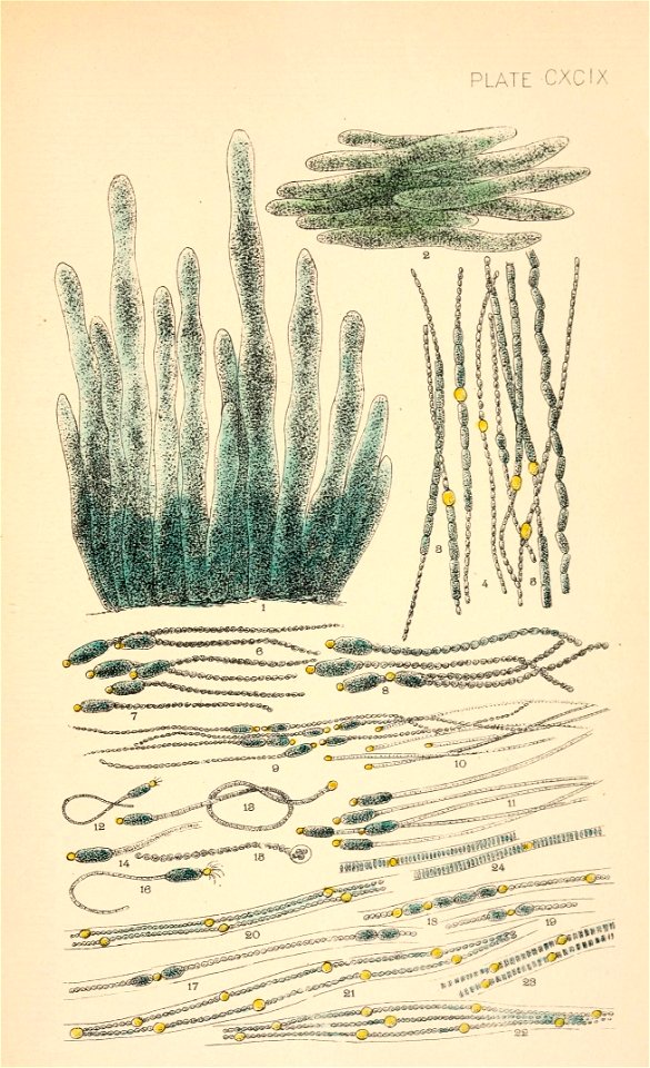 n584_w1150