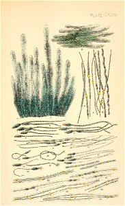 n584_w1150
