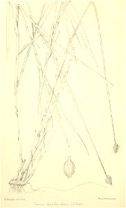 n85_w1150
