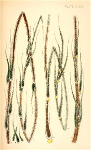 n464_w1150
