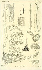 n383_w1150