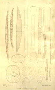 n221_w1150
