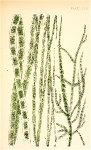 n236_w1150