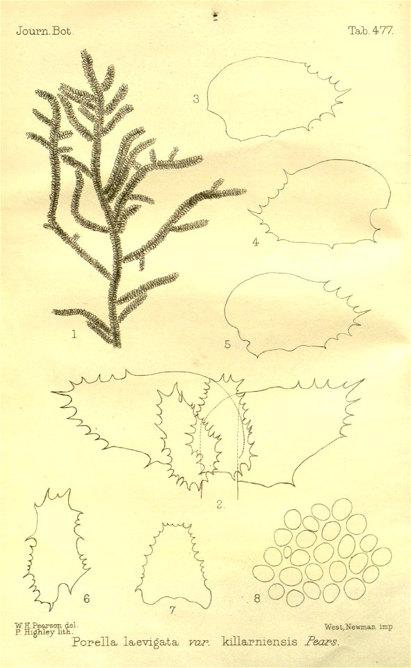 n98_w1150