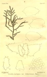 n98_w1150