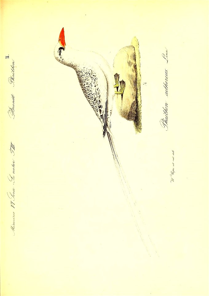 n50_w1150
