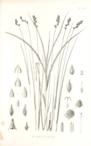 n156_w1150