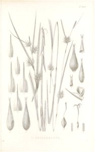 n174_w1150