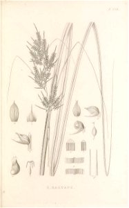 n114_w1150