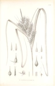 n420_w1150