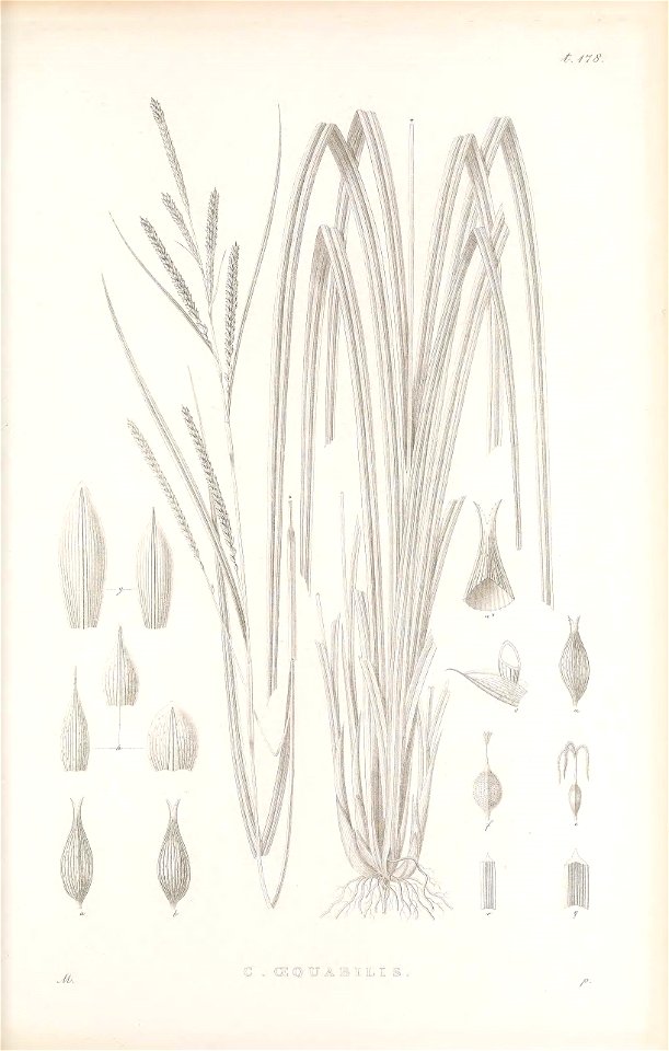 n450_w1150