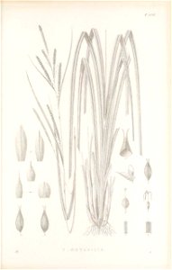 n450_w1150