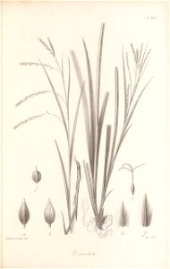 n360_w1150