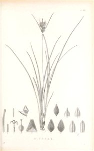 n210_w1150