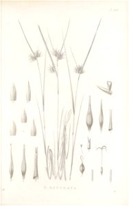 n172_w1150