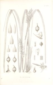 n142_w1150