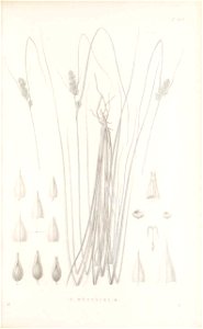 n52_w1150
