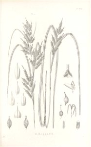 n112_w1150