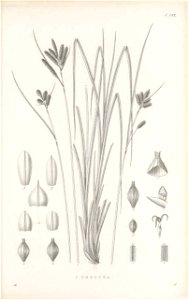 n478_w1150