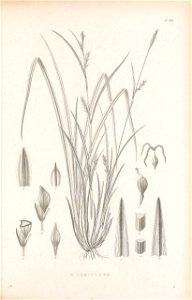 n268_w1150