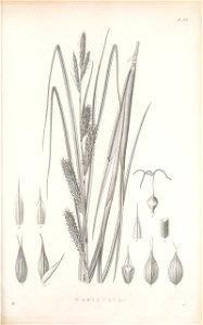 n208_w1150