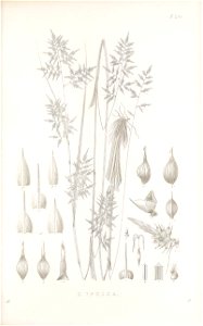 n140_w1150