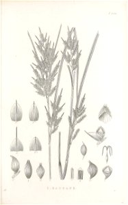 n110_w1150