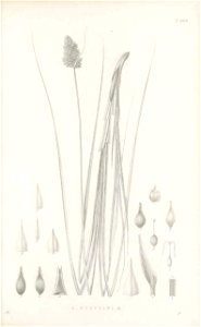 n50_w1150