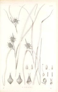 n416_w1150