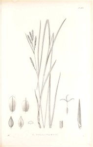 n356_w1150