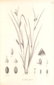 n266_w1150