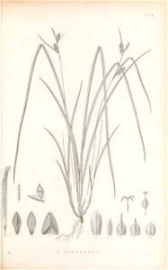 n206_w1150