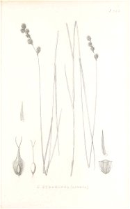 n180_w1150