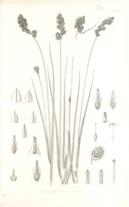 n150_w1150