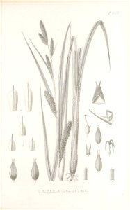 n120_w1150