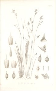 n60_w1150