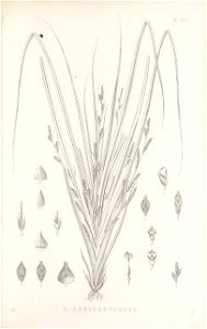 n258_w1150