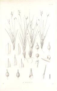 n228_w1150