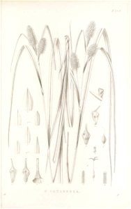 n198_w1150