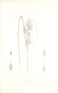 n138_w1150