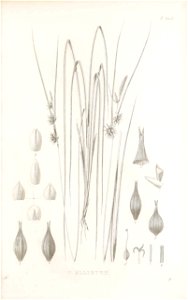 n168_w1150