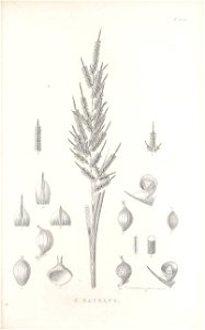 n108_w1150