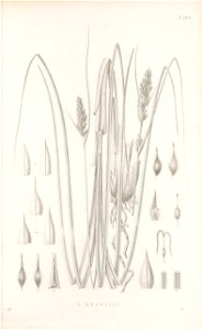 n48_w1150