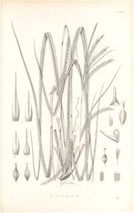 n474_w1150
