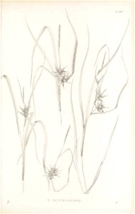 n414_w1150