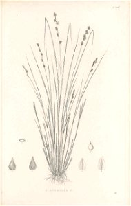 n384_w1150