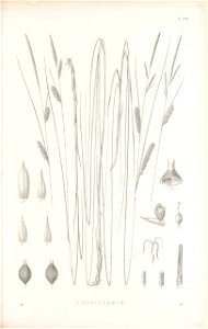 n354_w1150