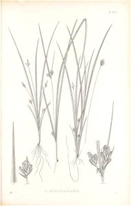 n294_w1150